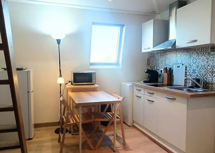 Fonctionnel Avec Mezzanine Sejour Pro Appartement *